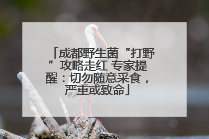 成都野生菌“打野”攻略走红 专家提醒：切勿随意采食，严重或致命