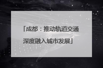 成都：推动轨道交通深度融入城市发展