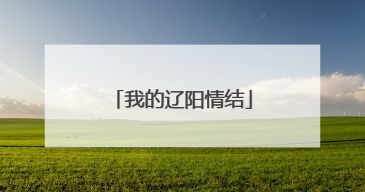 我的辽阳情结