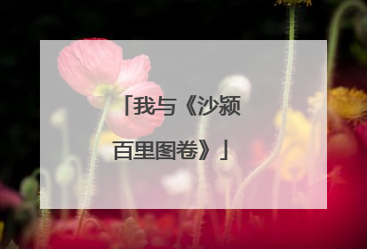 我与《沙颍百里图卷》