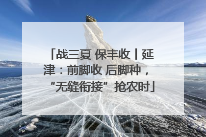 战三夏 保丰收丨延津：前脚收 后脚种，“无缝衔接”抢农时