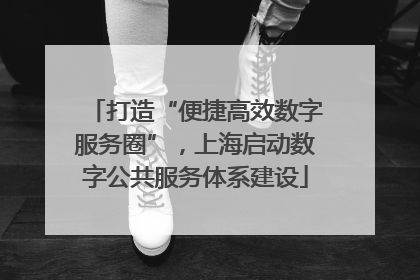 打造“便捷高效数字服务圈”，上海启动数字公共服务体系建设