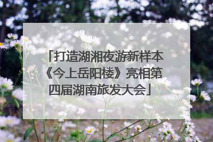 打造湖湘夜游新样本《今上岳阳楼》亮相第四届湖南旅发大会