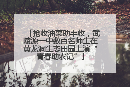 抢收油菜助丰收，武陵源一中数百名师生在黄龙洞生态田园上演“青春助农记”