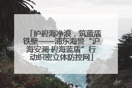 护碧海净浪，筑蓝盾铁壁——浦东海警“沪海安澜·碧海蓝盾”行动织密立体防控网