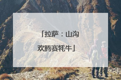 拉萨：山沟欢腾赛牦牛