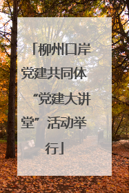 柳州口岸党建共同体“党建大讲堂”活动举行