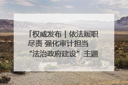 权威发布｜依法履职尽责 强化审计担当 “法治政府建设”主题系列新闻发布会市审计局专场召开