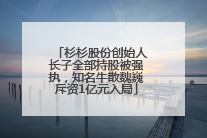 杉杉股份创始人长子全部持股被强执，知名牛散魏巍斥资1亿元入局