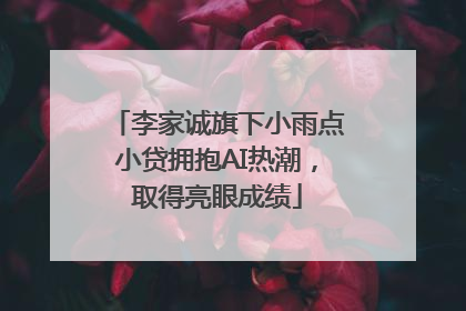 李家诚旗下小雨点小贷拥抱AI热潮，取得亮眼成绩