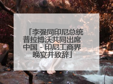 李强同印尼总统普拉博沃共同出席中国－印尼工商界晚宴并致辞
