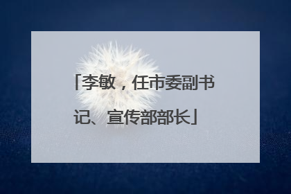 李敏，任市委副书记、宣传部部长