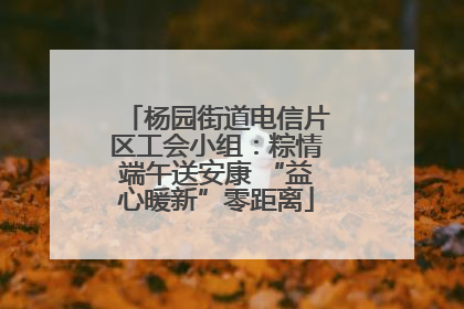 杨园街道电信片区工会小组：粽情端午送安康 “益心暖新”零距离