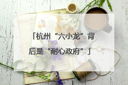 杭州“六小龙”背后是“耐心政府”