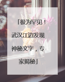 极为罕见！武汉江边发现神秘文字，专家揭秘