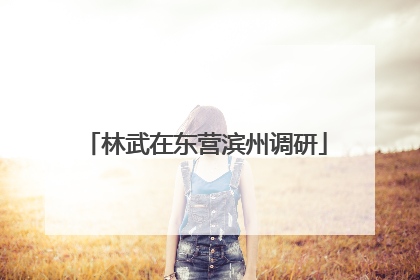 林武在东营滨州调研