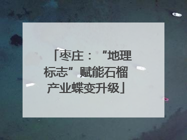 枣庄：“地理标志”赋能石榴产业蝶变升级