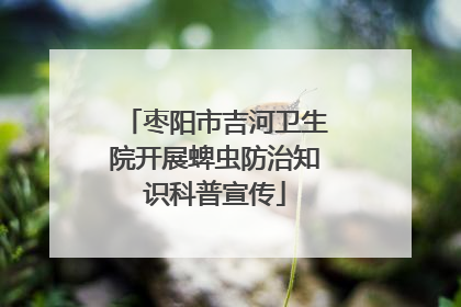 枣阳市吉河卫生院开展蜱虫防治知识科普宣传