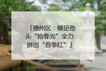 播州区：铆足劲头“抢春光”全力拼出“首季红”