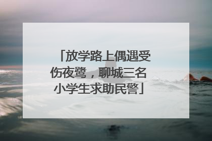 放学路上偶遇受伤夜鹭，聊城三名小学生求助民警