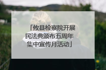 攸县检察院开展民法典颁布五周年集中宣传月活动
