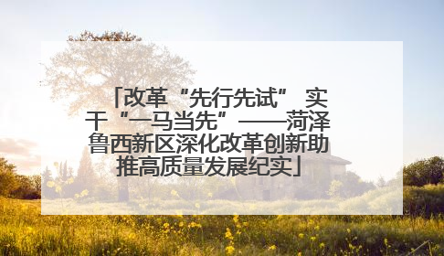 改革“先行先试” 实干“一马当先”——菏泽鲁西新区深化改革创新助推高质量发展纪实