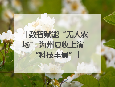 数智赋能“无人农场” 海州夏收上演“科技丰景”
