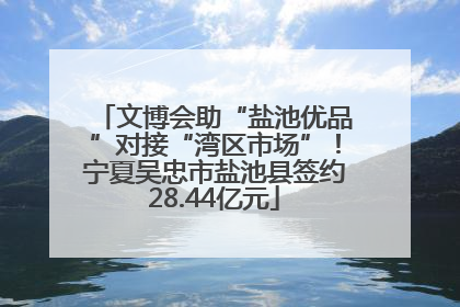 文博会助“盐池优品”对接“湾区市场”！宁夏吴忠市盐池县签约28.44亿元
