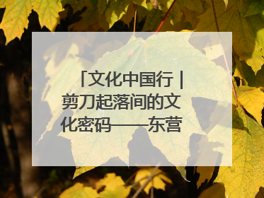 文化中国行｜剪刀起落间的文化密码——东营剪纸“剪”出非遗传承与现代生活的融合之道
