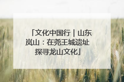 文化中国行｜山东岚山：在尧王城遗址探寻龙山文化