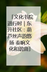 文化书院进行时｜东升社区：葫芦丝声韵悠扬 奏响文化和谐曲