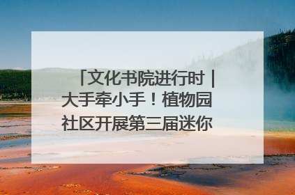 文化书院进行时｜大手牵小手！植物园社区开展第三届迷你马拉松活动