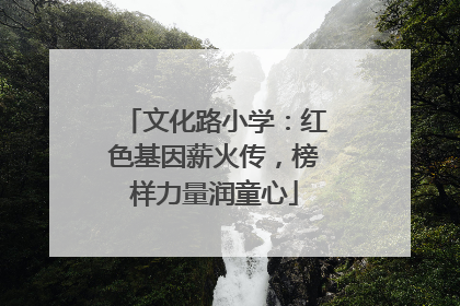 文化路小学：红色基因薪火传，榜样力量润童心