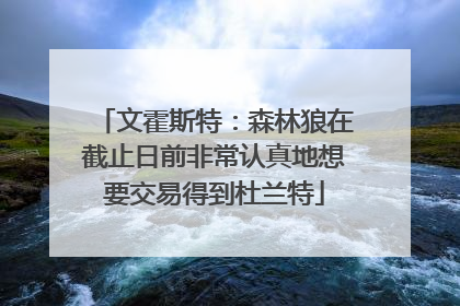 文霍斯特：森林狼在截止日前非常认真地想要交易得到杜兰特