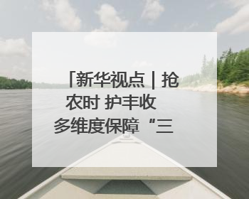 新华视点｜抢农时 护丰收 多维度保障“三夏”生产
