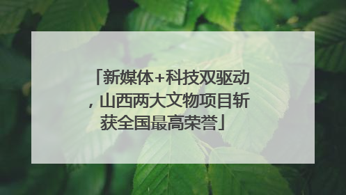 新媒体+科技双驱动，山西两大文物项目斩获全国最高荣誉