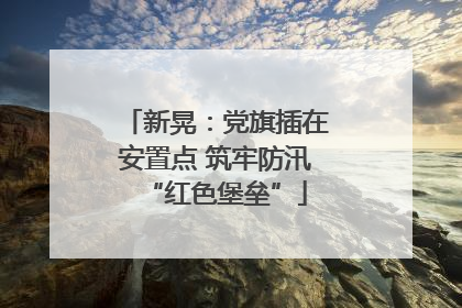新晃：党旗插在安置点 筑牢防汛“红色堡垒”
