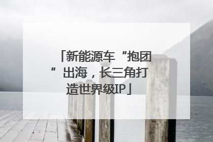 新能源车“抱团”出海，长三角打造世界级IP