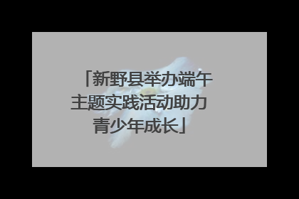新野县举办端午主题实践活动助力青少年成长