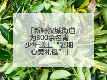 新野汉城街道为300余名青少年送上“暑期心灵礼包”