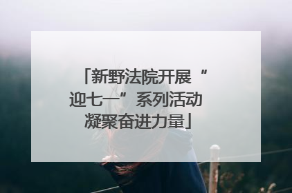新野法院开展“迎七一”系列活动 凝聚奋进力量