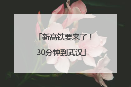新高铁要来了！30分钟到武汉