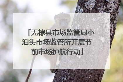 无棣县市场监管局小泊头市场监管所开展节前市场护航行动