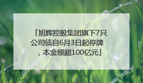 旭辉控股集团旗下7只公司债自6月3日起停牌，本金额超100亿元