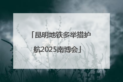 昆明地铁多举措护航2025南博会