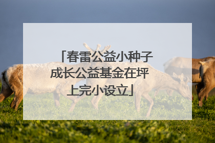 春雷公益小种子成长公益基金在坪上完小设立