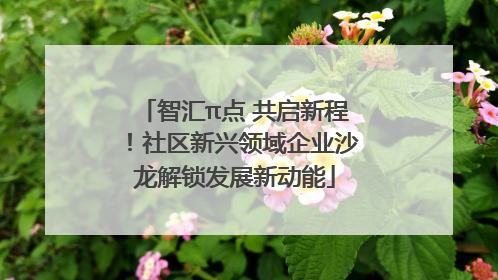 智汇π点 共启新程！社区新兴领域企业沙龙解锁发展新动能