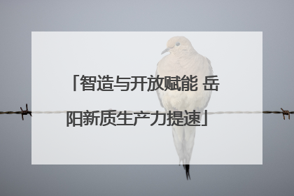 智造与开放赋能 岳阳新质生产力提速