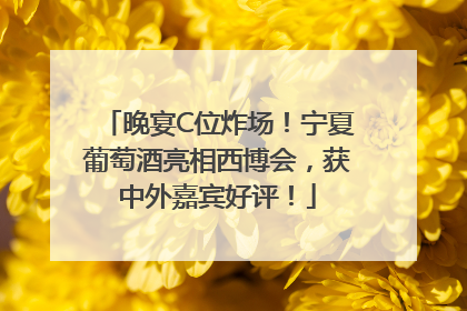 晚宴C位炸场！宁夏葡萄酒亮相西博会，获中外嘉宾好评！