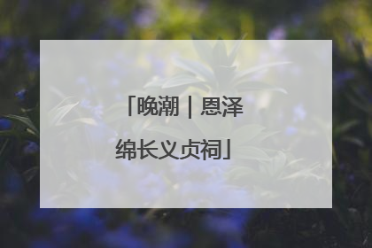 晚潮｜恩泽绵长义贞祠